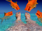 https://image.noelshack.com/fichiers/2023/44/1/1698624011-1698623976934.jpg