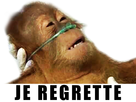 https://image.noelshack.com/fichiers/2023/44/2/1698750722-fgdg.png