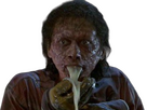 https://image.noelshack.com/fichiers/2023/44/3/1698864190-mouche-3.png