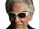 https://image.noelshack.com/fichiers/2023/44/3/1698864467-cronenberg-2.png