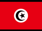 https://image.noelshack.com/fichiers/2023/44/5/1699009685-flag-of-tunisia-facho-kais-svg.png