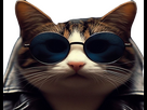 https://image.noelshack.com/fichiers/2023/44/5/1699025156-zqfqfzfz.png