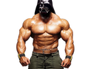 https://image.noelshack.com/fichiers/2023/45/3/1699398208-dark-vador-darth-vader-bodybuilder-muscles.png