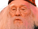 https://image.noelshack.com/fichiers/2023/46/2/1699924167-dumbledore-mirodius-5.png