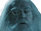 https://image.noelshack.com/fichiers/2023/46/2/1699924214-dumbledore-mirodius-13.png