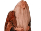 https://image.noelshack.com/fichiers/2023/46/2/1699924222-dumbledore-mirodius-18.png