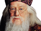 https://image.noelshack.com/fichiers/2023/46/2/1699924222-dumbledore-mirodius-19.png