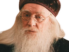 https://image.noelshack.com/fichiers/2023/46/2/1699924223-dumbledore-mirodius-20.png