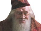 https://image.noelshack.com/fichiers/2023/46/2/1699924293-dumbledore-mirodius-28.png