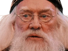 https://image.noelshack.com/fichiers/2023/46/2/1699924298-dumbledore-mirodius-31.png