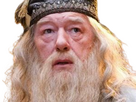 https://image.noelshack.com/fichiers/2023/46/2/1699924299-dumbledore-mirodius-30.png