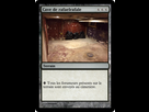 https://image.noelshack.com/fichiers/2023/46/4/1700161663-cave-de-rafaelrafale.jpg