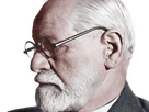 https://image.noelshack.com/fichiers/2023/46/5/1700231976-freud-7.png