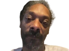 https://image.noelshack.com/fichiers/2023/46/7/1700364234-snoop-dog-brise.png