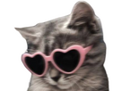 https://image.noelshack.com/fichiers/2023/46/7/1700365113-chat-lunette-coeur.png