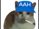 https://image.noelshack.com/minis/2023/47/2/1700598621-128-7.png