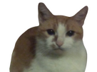 https://image.noelshack.com/minis/2023/47/2/1700600340-neta-object-removal-removebg-preview.png