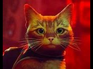 https://image.noelshack.com/fichiers/2023/47/3/1700644637-stray.jpg