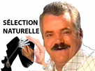 https://image.noelshack.com/fichiers/2023/47/5/1700830391-oip.jpeg