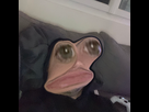https://image.noelshack.com/fichiers/2023/47/6/1700935444-img-0081.jpeg