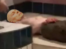 https://image.noelshack.com/minis/2023/47/6/1700944655-1.png