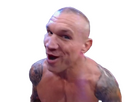 https://image.noelshack.com/fichiers/2023/47/7/1701021317-20231126-161043-randyorton.png