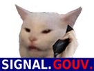 https://image.noelshack.com/fichiers/2023/47/7/1701026887-chat-signal-gouv.png