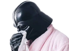 https://image.noelshack.com/fichiers/2023/48/1/1701085609-dark-vador-darth-vader-mouche-malade.png