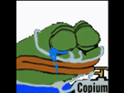 https://image.noelshack.com/fichiers/2023/48/1/1701107084-peepocopium.png