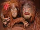 https://image.noelshack.com/minis/2023/48/1/1701119319-full.png