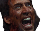 https://image.noelshack.com/fichiers/2023/48/6/1701525126-nicolas-cage-5.png