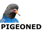 https://image.noelshack.com/fichiers/2023/50/1/1702320568-tull-2.png