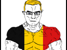https://image.noelshack.com/minis/2023/50/3/1702433656-belge.png
