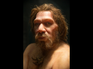 https://image.noelshack.com/minis/2023/51/1/1702939066-neander.png