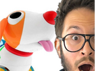 https://image.noelshack.com/fichiers/2023/51/2/1702994220-sniff4.png