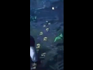 https://image.noelshack.com/fichiers/2023/51/3/1703072285-footprints.png