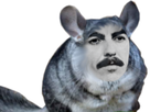 https://image.noelshack.com/fichiers/2023/51/5/1703282056-1610654916-george-obese-de-mes-couilles.png