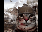 https://image.noelshack.com/fichiers/2023/52/1/1703521483-war-cat.gif