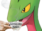 https://image.noelshack.com/fichiers/2023/52/4/1703765321-masskodeter-tasse-larmes-haters.png