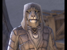 https://image.noelshack.com/fichiers/2023/52/6/1703930625-maiq-the-liar-elder-scrolls-online.jpg