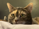 https://image.noelshack.com/minis/2023/52/6/1703952285-8c3ae1e5-94d1-4d04-b0d4-83e929cb498e.png