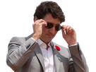 https://image.noelshack.com/fichiers/2023/52/7/1672561777-trudeauchad.png