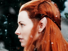 https://image.noelshack.com/fichiers/2023/52/7/1704010800-tauriel.png