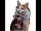 https://image.noelshack.com/minis/2024/01/1/1704136628-quiquinhatsirop1.png