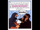 https://image.noelshack.com/fichiers/2024/01/1/1735587461-images.jpeg