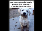 https://image.noelshack.com/fichiers/2024/01/2/1704224506-blague.png
