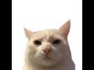 https://image.noelshack.com/minis/2024/01/2/1735651091-sus.png