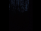 https://image.noelshack.com/fichiers/2024/01/2/1735667549-screenshot-20241231-185210-gallery.jpg