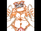 https://image.noelshack.com/minis/2024/01/4/1704401538-5aa074e011936682a6f6ae5cb3ed66ce.png