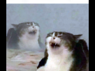 https://image.noelshack.com/minis/2024/01/7/1704619520-1704510871627681.png